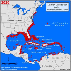 Map showing lionfish sightings along the US east coast, the Gulf of Mexico and the Caribbean in 2020, source U.S. Geological Survey