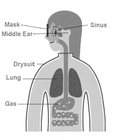 Diagram of a diver's body labelling the gas spaces affected by pressure: mask, middle ear, sinus, drysuit, lungs and gut
